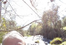 LA GRIETA ETERNA: CRÓNICA DE UNA SOCIEDAD SIN CEREBRO