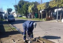 NUEVAS VEREDAS EN LA PALOMA