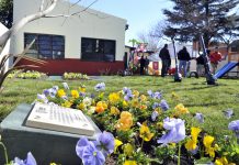 NUEVOS JUEGOS PARA LOS CHICOS DEL JARDÍN 915 DE LAS TUNAS