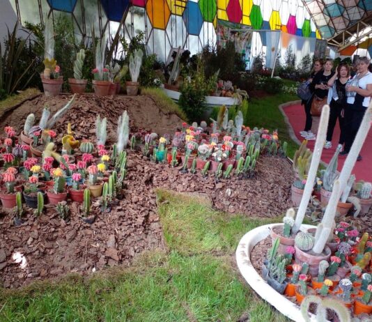 Fiesta Nacional de la Flor: 80 instituciones educativas exhibirán un jardín de flores con materiales reciclados