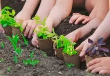 Este sábado llega “La Hora del Planeta” a Vicente López: toda la información