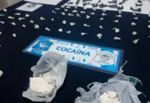 Desbaratan una organización narco criminal que operaba en el barrio Cementerio de Belén de Escobar