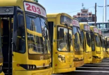 El jueves habrá paro de colectivos durante 24 horas: afectará el servicio de corta distancia en el AMBA