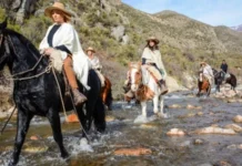 Fin de semana largo: se movilizaron 1,4 millones de turistas y gastaron $228.479 millones