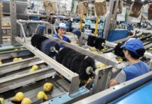 HORRIBLE HALLAZGO: TRABAJADOR MUERTO EN LA CAMARA FRIGORIFICA