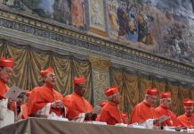 El Misterio del Cónclave: Un Influyente Cardenal Anticipa Sorpresas en la Elección del Sucesor de Francisco