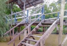 EL MUNICIPIO DE TIGRE REALIZÓ LABORES DE MANTENIMIENTO EN EL TERRITORIO DEL DELTA