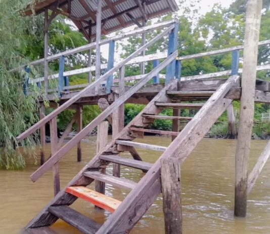 EL MUNICIPIO DE TIGRE REALIZÓ LABORES DE MANTENIMIENTO EN EL TERRITORIO DEL DELTA