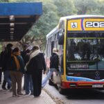 Transporte público gratuito durante las elecciones en la Provincia