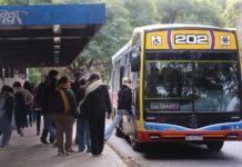 Transporte público gratuito durante las elecciones en la Provincia