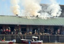 Tigre: Rápido accionar del Sistema de Protección Ciudadana sofocó incendio en el Puerto de Frutos