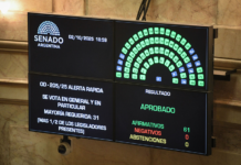 El Senado rechazó los vetos presidenciales a las leyes de pediatría y financiamiento universitario