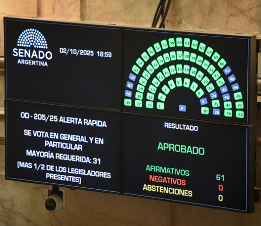 El Senado rechazó los vetos presidenciales a las leyes de pediatría y financiamiento universitario